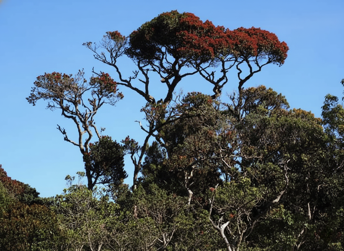 Ceylon Max Travels - Hidden Destinations