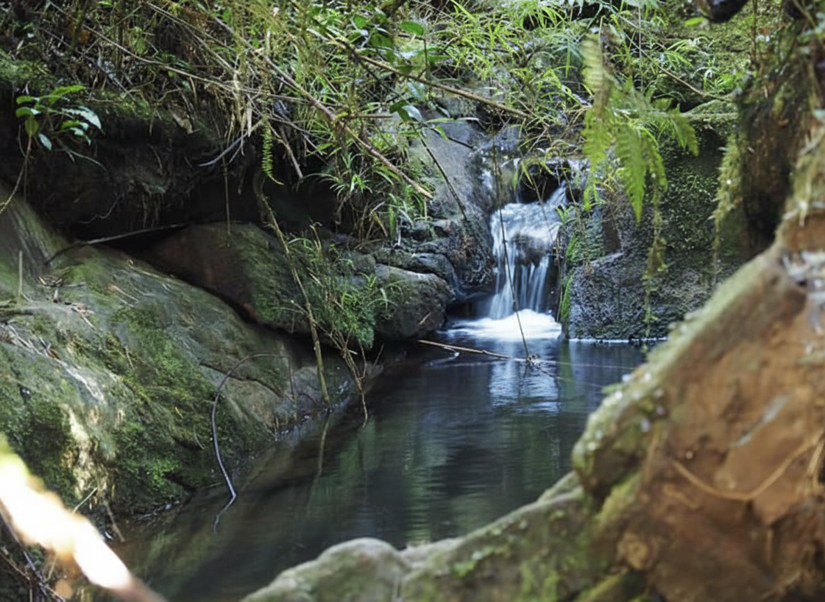 Ceylon Max Travels - Wildlife Safari