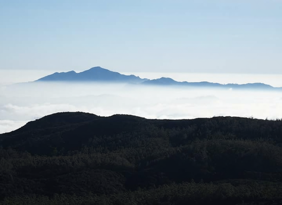 Ceylon Max Travels - Tea Plantations